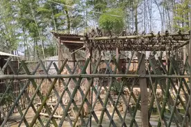 湖北农村疫情真的很可怕吗？真实情况比城里更舒服