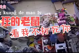 来欣赏下女汉子打老鼠的英姿飒爽，太过瘾了视频封面