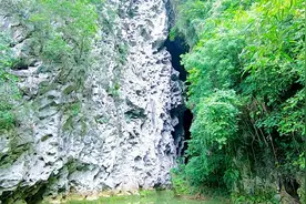 广西天等县向都百感通天岩，水直接从地下河流出，古榕江的源头
