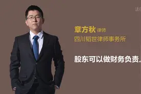 股东可以做财务负责人吗视频封面