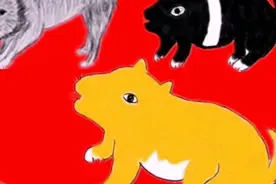 招财狗的五个特征，黑狗准，黄狗稳，狸狗机灵视频封面