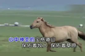 降央卓玛-这片草原 (KTV版)(高清)