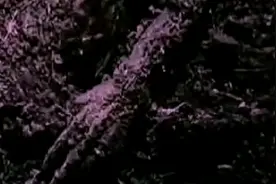爱一个人，无论ta变成什么样！都一直爱