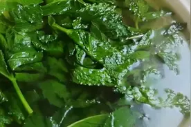 天气热了，老师傅做一碗薄荷叶清汤，很清凉哦，全家人抢着喝