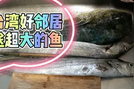 台湾好邻居送好大的鱼，它是什么鱼啊？不知道叫什麼视频封面