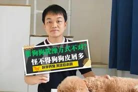 狗狗身上总是有很多皮屑？可能是你给它洗澡的方式不对！视频封面