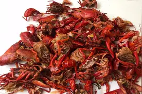 小龙虾壳还是个“宝”，还有很多厉害用途，去找找