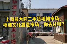 上海最大的二手货地摊市场，杨浦文化跳蚤市场，你去过吗？视频封面