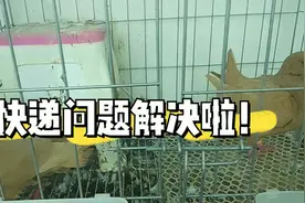 天无绝人之路，通过多方努力，快递问题终于解决了，6号左右发货视频封面