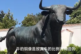 西班牙斗牛弗拉门戈舞是西班牙国粹，但我在西班牙看到的是斗小牛