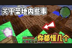 我的世界匠魂:菜地的这些事你都懂吗?全部知道的一定是老玩家了！