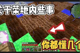 我的世界匠魂:菜地的这些事你都懂吗?全部知道的一定是老玩家了！