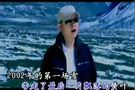 刀郎 - （2002年的第一场雪）忘不了把你搂在怀里的感觉