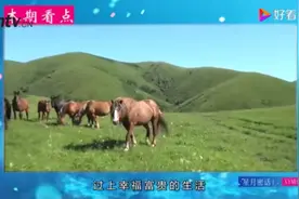 属马人：要遇“小人”了？下半年要多留心，快看你家有吗？