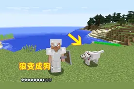 我的世界第22期！我用骨头把狼驯化成小狗，它还能帮我打僵尸呢