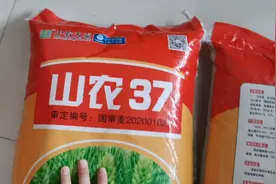 如何通过包装判断小麦种子的真假，看完视频就知道了视频封面