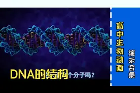高中生物动画演示合集——DNA的结构