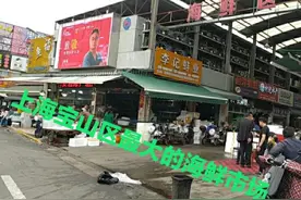 上海宝山区最大的一个海鲜水产批发市场视频封面