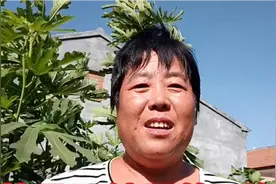 无花果不结果，有5种原因，看你属干哪种原因视频封面