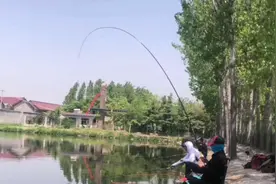 700多的东美矶钓竿，大物塘实战测试，难怪销量那么低！视频封面