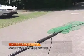 如此“钓鱼”你可见过？鱼竿内暗藏机关，一按就电力十足视频封面
