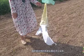 农村田间的简易版稻草人，制作方式简单易学视频封面