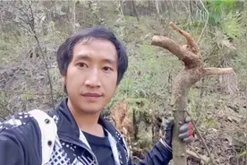 10多年的花椒木，可遇不可求，制作龙头拐杖送老人特别好视频封面