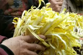 俯瞰兰州特产韭黄出产地七里河龚家湾刘家堡视频封面