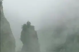 名画成真！视频封面