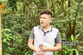 养龟所谓的干养是怎么养，小草龟很嗨心「龟谷鳖老」