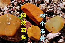 河北张家口山区河道中，这里有黄蜡石玛瑙，运气好能捡块黄龙玉