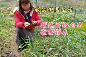 广东女子远嫁四川农村，9月种的蒜苗长大了，银凤摘回去炒回锅肉视频封面