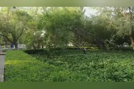 小伙运动减肥40天甩掉14斤肉，吃的饱还掉秤视频封面