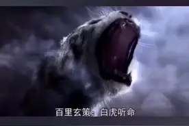 青龙白虎听令视频封面