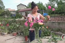 农村旧花园要拆了，小妞摘鲜花送给妈妈，说起了和型男的浪漫往事