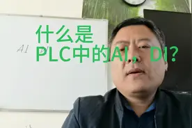 在PLC中，什么是Al，什么是DI？