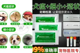别再去医院花冤枉钱，二十块钱确诊狗狗有没有犬瘟细小！