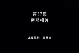 熊出没熊熊相片视频封面