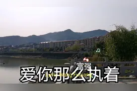 明知道爱情没有结果
依然《爱你那么执着》
