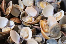 蛤蜊这样做才好吃，不放一滴水，做出来香嫩清甜，原汁原味