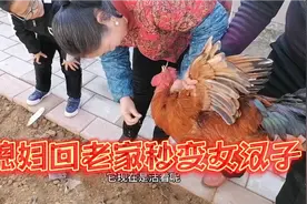 回家过年，媳妇秒变女汉子，自己在家宰鸡，真霸气啊！视频封面