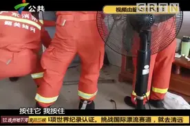 韶关：村中毒蛇出没，闯入房屋村民心惊惊，求助消防视频封面