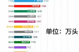 全国各地养猪排行视频封面