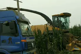 在雄安新区，商家用这种机器1亩地700块钱回收，你觉得农民亏了吗视频封面