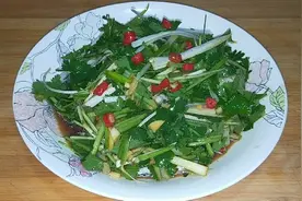 家里大葱存的多，配上香菜一调一拌，美味爽口视频封面