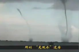双龙吸水又称龙吸水视频封面