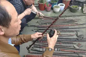乡下收古玩，遇到这种烟杆不要错过，值得大家收藏！视频封面
