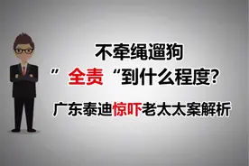 遛狗不牵绳，“全责”到什么程度？广东泰迪犬惊吓老太太案分析视频封面