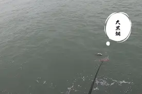 矶钓天堂四霜列岛，两天矶钓行程，要回宾馆结果快艇机器出故障