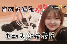 泰迪用头部按摩器，体验下飞升的感觉，爽到灵魂出窍还是无动于衷视频封面